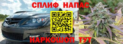 jwh Нальчик