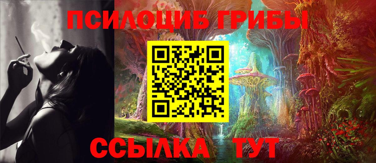Галлюциногенные грибы мухоморы  Псилоцибиновые грибы Psilocybe  Вход с VPN  Тверь 