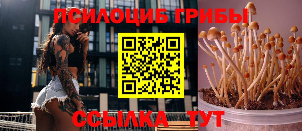 Галлюциногенные грибы GOLDEN TEACHER Тверь